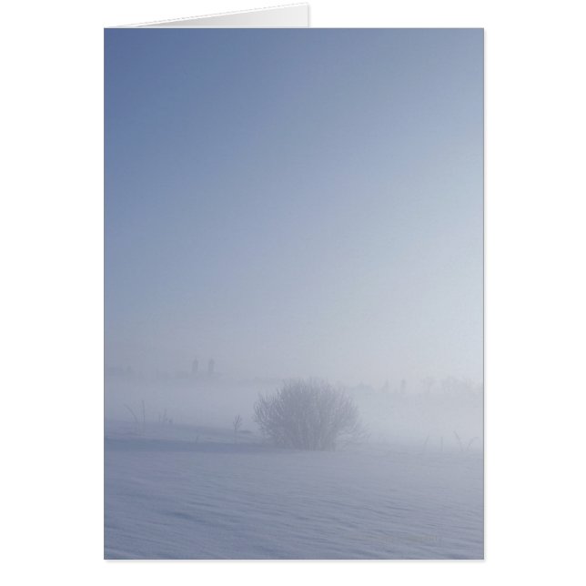 Paysage hivernal froid et neige (Devant)