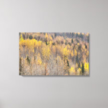 Paysage Jaune Orange Alaska toile d'automne Imprim