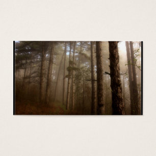 Paysage naturel d'arbres forestiers