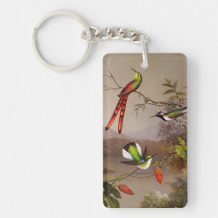 Paysage tropical avec dix colibris