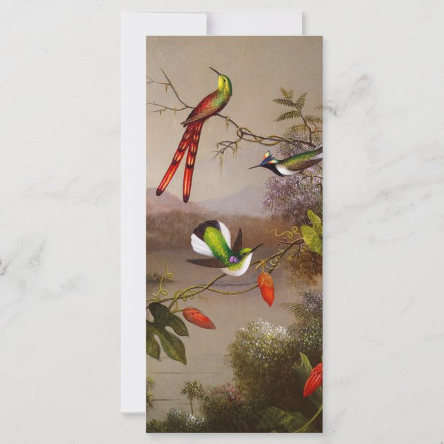 Paysage tropical avec la carte des dix colibris (Devant)