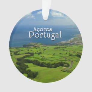 Paysage vert de Miguel de sao