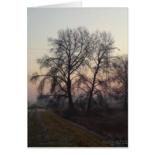 Paysages 1 de Mazovian