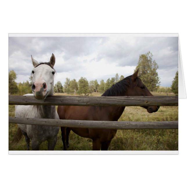 PAYSAGES DE PAYS (Devant horizontal)