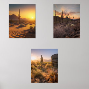 Paysages du désert du coucher du soleil. Arizona