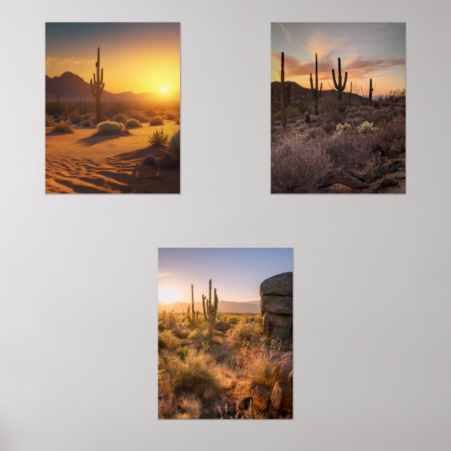 Paysages du désert du coucher du soleil. Arizona (Recto)