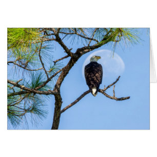 PB et la lune