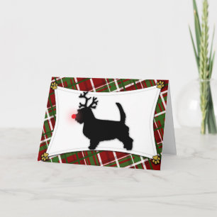 PBGV Reindeer Christmas Card