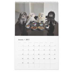 PBJ Pack 2017 Calendar