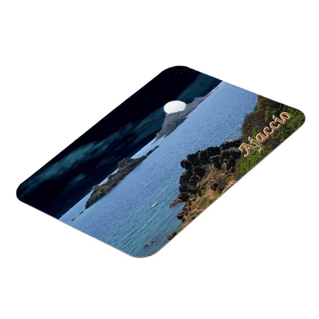PC-FR0020 MAGNET (Left Side)
