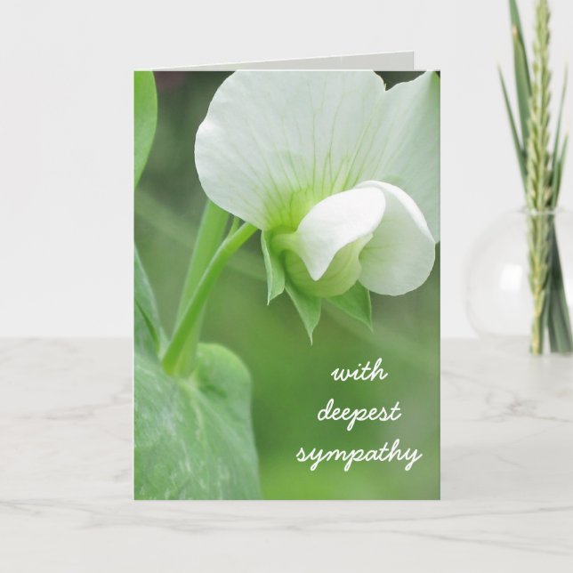 Pea Blossoms Sympathy Template Greeting Card (Front)