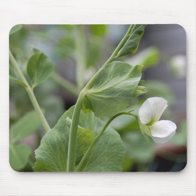 Pea Vine 1 Mouse Pad (Front)