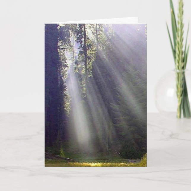 Peace and Joy Holiday Card (Front)