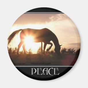 Peace at Sunset Magnet