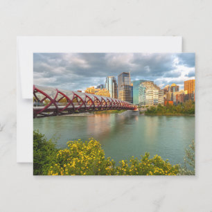 Peace Bridge and Calgary Cityscape Scenic View Postcard