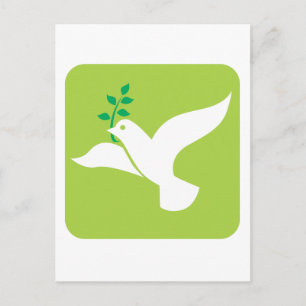 Peace by a Flying White Dove with Olive Leaf Postcard