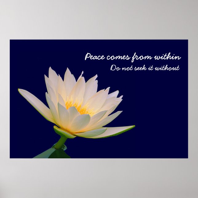 Peace Comes from Within Poster (Front)
