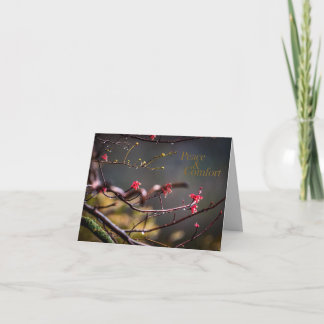 Peace & Comfort Sympathy Card