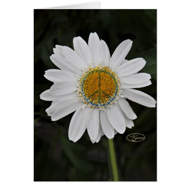 peace daisy (Front)