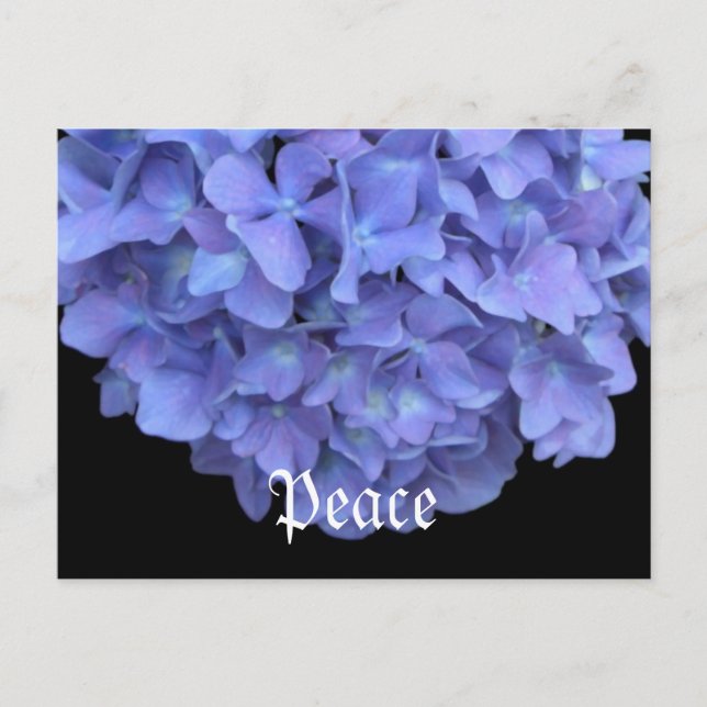 Peace Floral Postcard (Front)