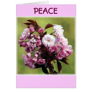 Peace Flowers