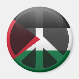 Peace in Palestine Magnet