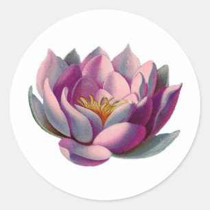 Peace l Beautiful Pink Lotus Flower/Water Lily Classic Round Sticker