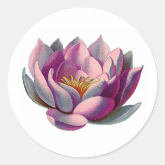 Peace l Beautiful Pink Lotus Flower/Water Lily Classic Round Sticker