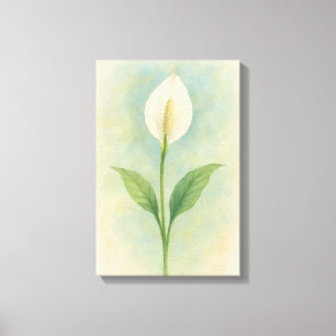 Peace Lily Canvas Print