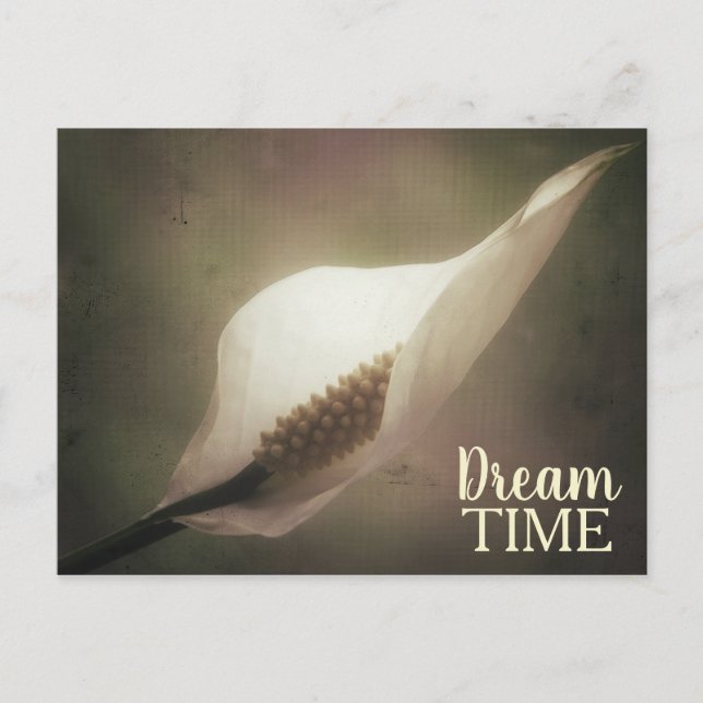Peace Lily Dream Time Phrase Postcard (Front)