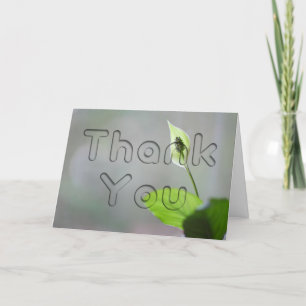 Peace Lily Floral Thank You Card