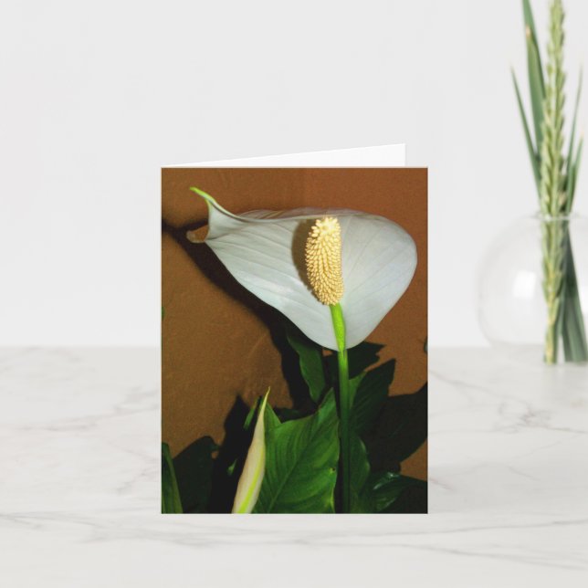 Peace Lily Flower Note Card (Front)