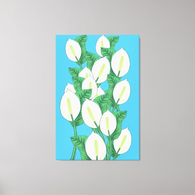 Peace Lily Illustration  Canvas Print (Front)