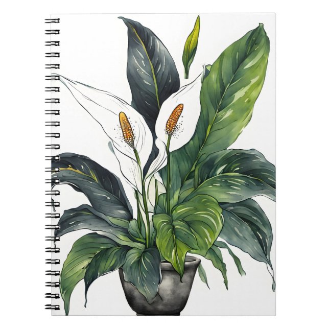 Peace Lily - Watercolor flowers Notebook (Front)