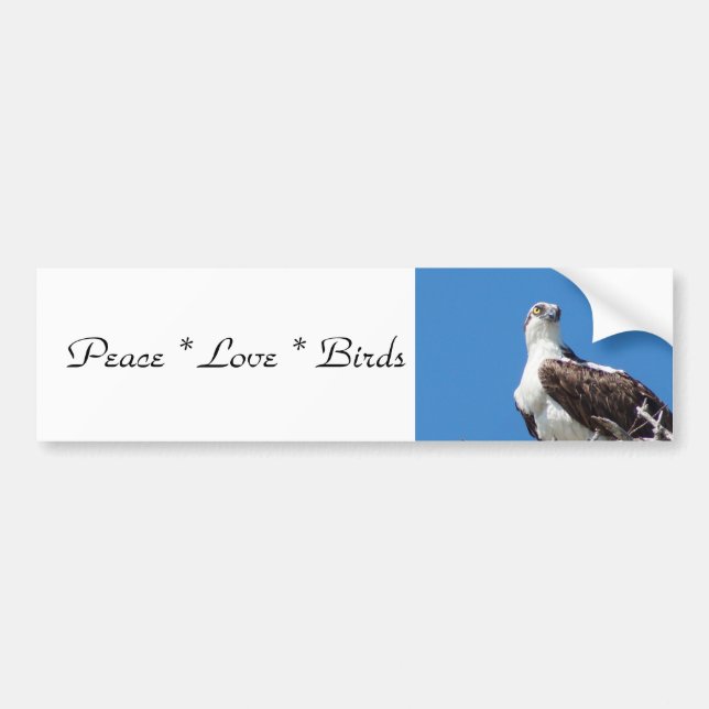 Peace Love Birds Bumper Sticker (Front)