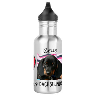 Peace Love Dachshunds Dog Lovers Stainless Steel W 532 Ml Water Bottle