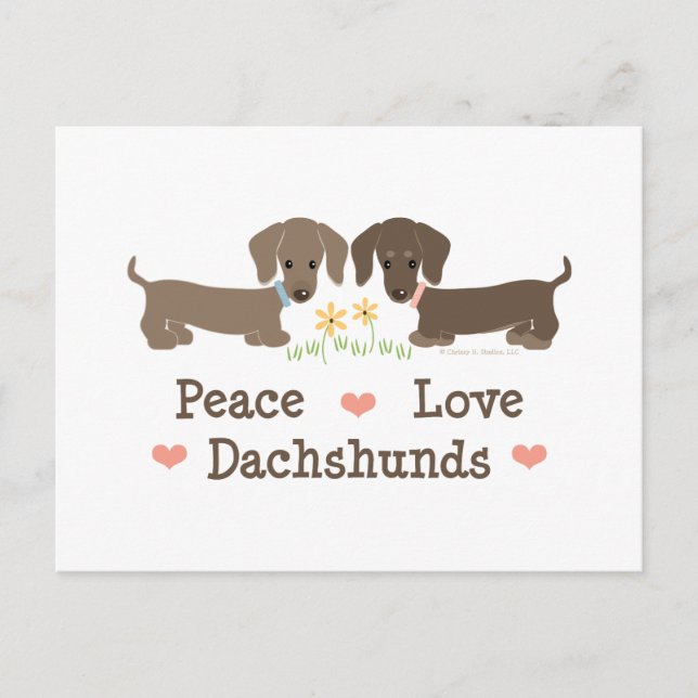 Peace Love Dachshunds Postcard (Front)