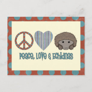 Peace Love Echidnas Postcard