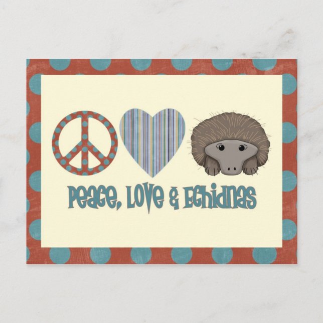 Peace Love Echidnas Postcard (Front)