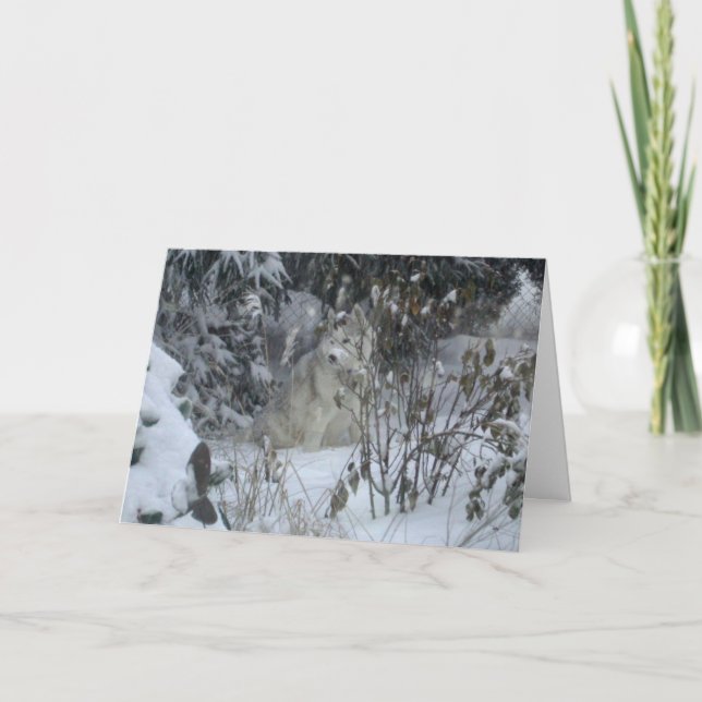 Peace Love Joy Chien Carte de Noël (Devant)