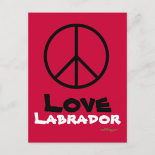 Peace Love Labrador Postcard