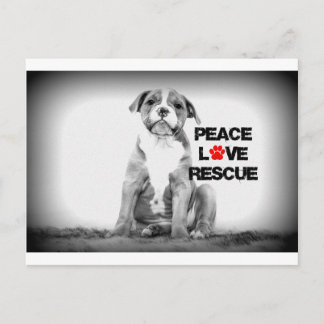 Peace Love Rescue Dog Postcard