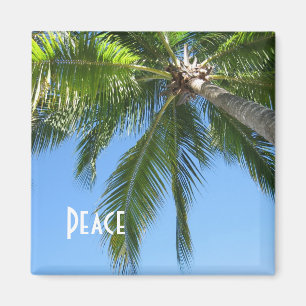 Peace Magnet