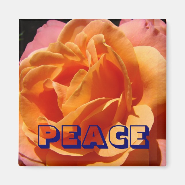 PEACE magnet Orange Rose Flower nature (Front)
