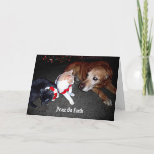 Peace On Earth Holiday Card