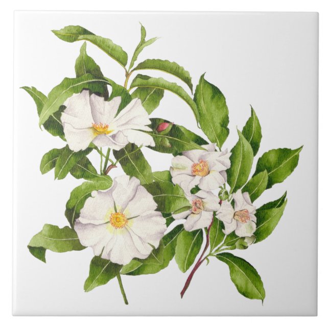 'Peace on Earth' on a Ceramic Tile (Front)