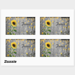 "Peace" Phrase, Field of Sunflowers, Black & White Sticker