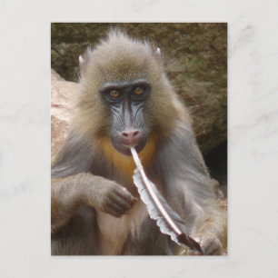 Peace pipe postcard