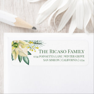 Peace Poinsettia Fleur d'hiver de Noël