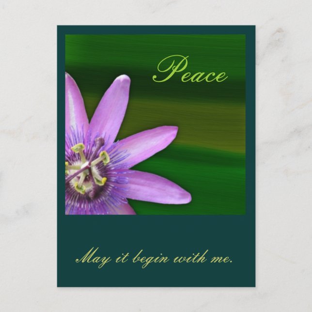 Peace Postcard (Front)